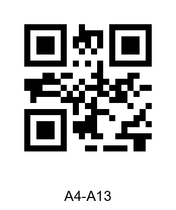 QR_grupo_A4-A13.png - miniatura